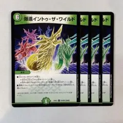 147553 爆進イントゥザワイルド