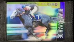 ビワハヤヒデ 第54回菊花賞 サラブレッドホースコレクション ウエハース