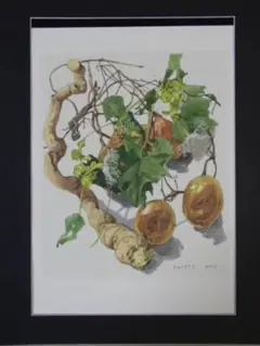 小磯良平、なつめ、高級薬用植物画、版上サイン入り、新品額付 2025年最新】小磯良平 薬用植物の人気アイテム - メルカリ