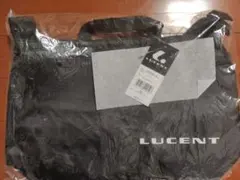 Item thumbnail for item 2ff1090b-6884-48e9-bcbb-d14a6a1e7b33