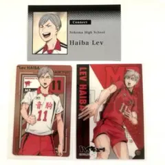 ハイキュー!! 灰羽リエーフ　音駒高校