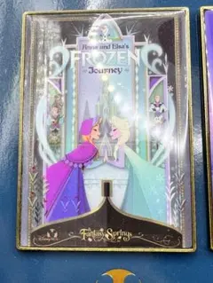 ディズニーシー ファンタジースプリングス　ピンバッジ ピンズ アナと雪の女王