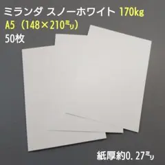 特殊紙、ミランダ170kgスノー、A5、50枚（両面きらきらガラスフレーク）