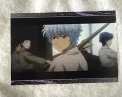 銀魂 将軍暗殺篇 坂田銀時 ポストカード