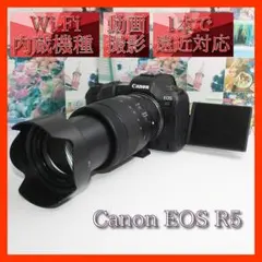 ✨予備電池付✨Canon EOS R5 18-135mm USMレンズ✨ - メルカリ