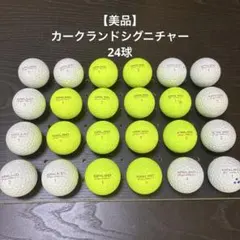 【美品】カークランドシグニチャー 24球 （039）　　　　　　　　ロストボール
