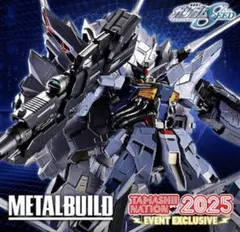 メタルビルド プロヴィデンスガンダム CLIMAX BATTLE Ver.