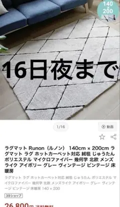 定価21900円　カーペット