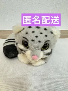 神戸どうぶつ王国 マヌルネコ ぬいぐるみ