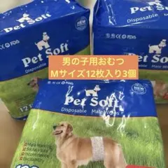 Item thumbnail for item d457afb9-c4d9-4794-92e7-778be6d89e83