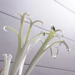 goul4711様 リクエスト 4点 まとめ商品