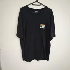 XLARGE カラフルロゴ Tシャツ ブラック