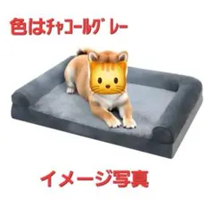 Item thumbnail for item b18c38fb-d818-4671-9fbd-7a2b1c939250