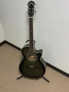 2026年最新】PRO MARTIN アコギの人気アイテム - メルカリ