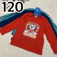 パウパト/長袖カットソー /3枚セット/ 120