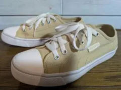 Item thumbnail for item 17c7e36f-e8bc-4f4b-ae8f-8f8d6fdfe7a5