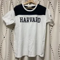 HARVARD ロゴ Tシャツ ホワイト/ネイビー