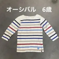 美品　オーシバル　6歳　マルチカラー　ボーダーカットソー