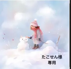 たこせん様 リクエスト 3点 まとめ商品