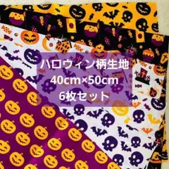 限定3セット ハロウィン柄生地 40cm×50cm 6種類セット ②