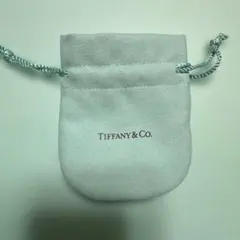 Tiffany & Co. 巾着袋 アクセサリーポーチのサムネイル