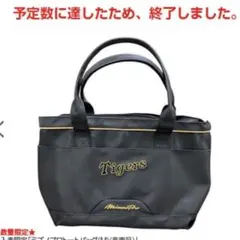 ミズノプロトートバッグ　阪神タイガース　非売品 2024 プロコレのサムネイル