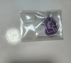 きぐるみドズル社 アクリルチャーム ぼんじゅうる