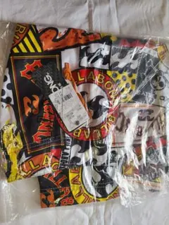 Item thumbnail for item a04ae0ae-dbd6-4016-9782-e947b5cdec05