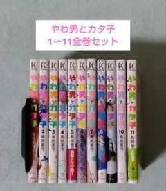 やわ男とカタ子 全巻セット 全巻セット 漫画 コミックス 長田亜弓