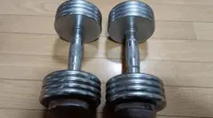 IGNIO ダンベル 10kg 2個セット 可変式のサムネイル
