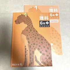 2026年最新】四谷大塚 予習シリーズ 6年 下の人気アイテム - メルカリ