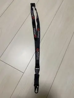HAAS F1 ストラップ