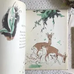 チェコ 絵本
