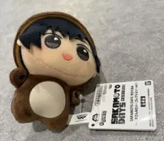 サカモトデイズ くまさんみたい コレクション ちびぐるみ 南雲