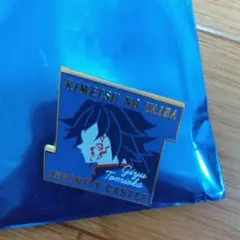 鬼滅の刃無限城編第1章キャラクターモチーフピンズ冨岡義勇