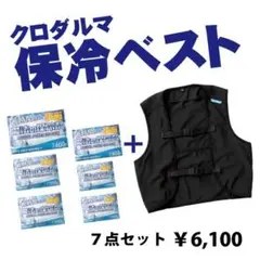 電池不要！クールメッシュベスト&保冷剤 4点セット クロダルマ26535-S 