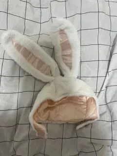 Item thumbnail for item 83e0f108-9ab8-4b6e-ad8c-7de024cd2395