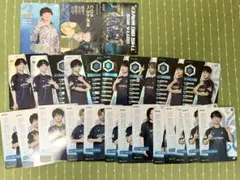 ZETA IJLカード まとめ売り 2026年最新】IJLカードの人気アイテム - メルカリ