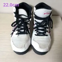asics バスケ　シューズ DUNKSHOT 22.0cm