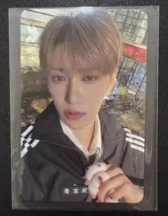 ALD1 EUPHORIA アルノ トレカ