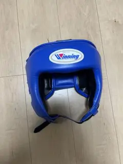 Item thumbnail for item e99bac61-fcfc-471e-9505-7e1dbf5c204e