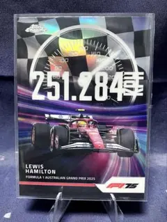 記念品　ルイスハミルトン 2026年最新】ルイス ハミルトンの人気アイテム - メルカリ