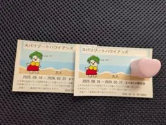 2026年最新】スパリゾートハワイアンズ 入場券の人気アイテム