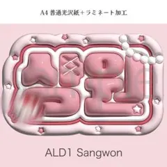 ALD1 サンウォン ALPHA DRIVE ONE ぷっくり ネームボード