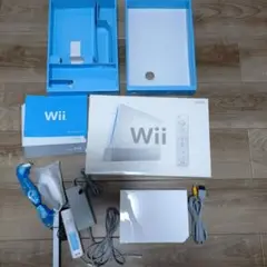 Wii本体 ホワイト 説明書付き