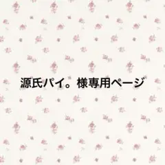 専用ページ