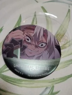 鬼滅の刃 コレクタブル缶バッジ 不死川実弥 USJ 2021 ユニバ 2個セット 2026年最新】usj 缶バッジ 実弥の人気アイテム - メルカリ