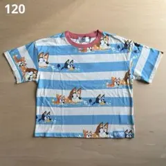 新品 120 BLUEY チマジロ コラボ ボーダー 半袖 Tシャツ ビンゴ 母