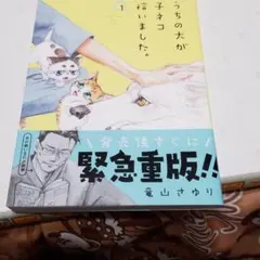 うちの犬が子ネコ拾いました。 1