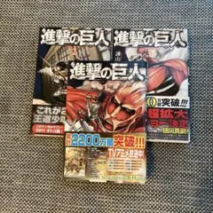 Item thumbnail for item 0dc7d561-8fff-4dde-9200-e6db45df6111